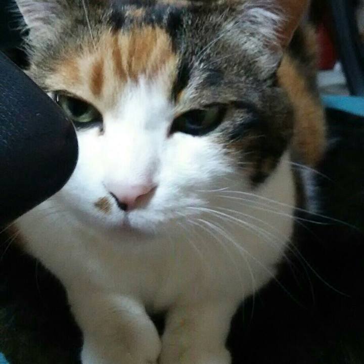 3d965cb9 44de 450d bbc8 35e0f23ae9d2