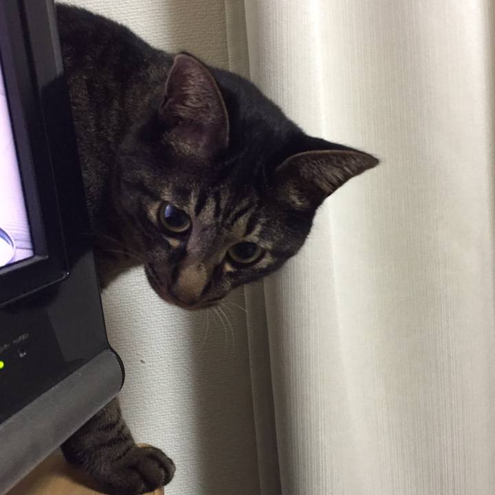 3d968558 9aac 49e1 93f5 c079e60d440b