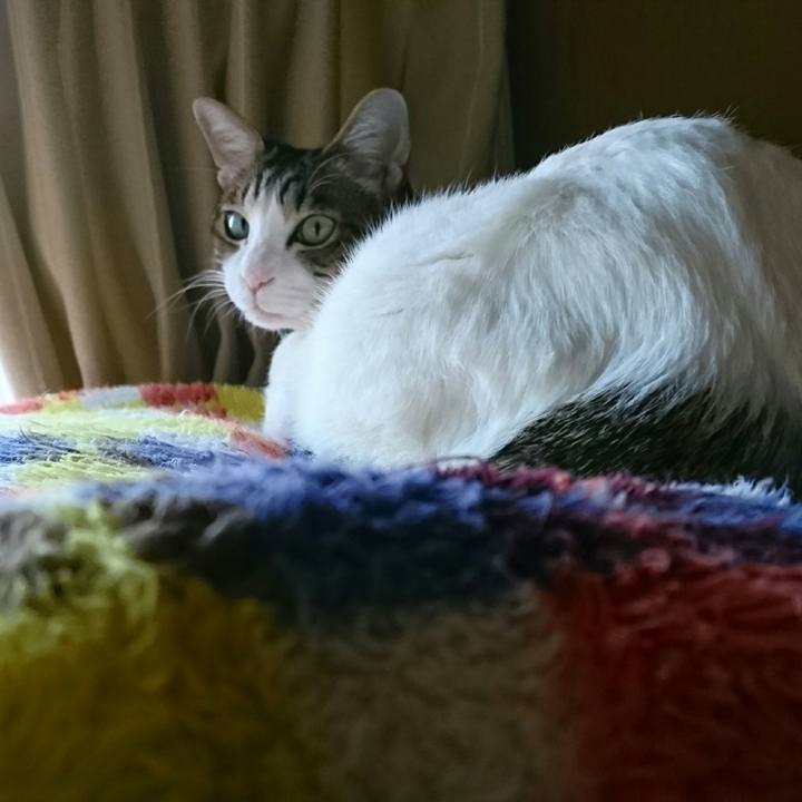 3d974470 7d2f 45eb 8685 4162cb37d8cd