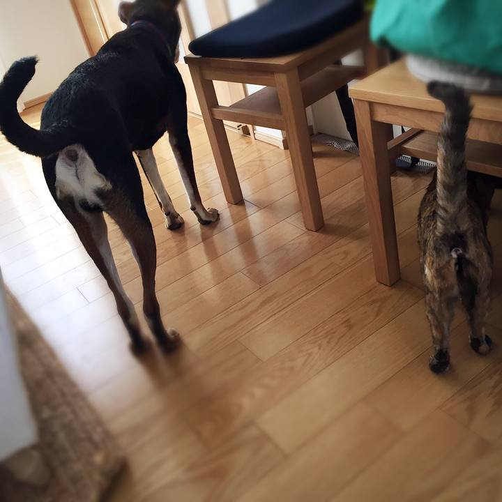 3d97bf26 7d73 44aa 9b85 2ed036994ac7