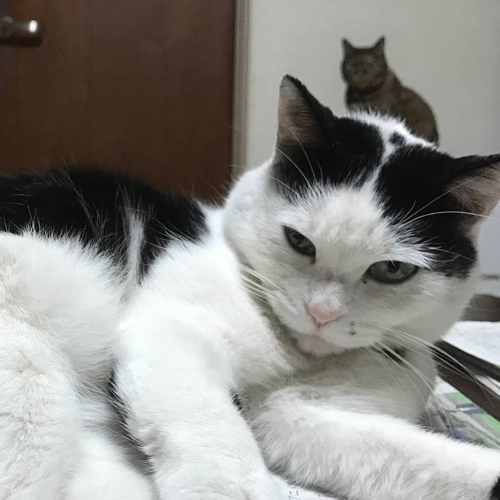 3d980007 f28e 4c09 a3c4 aba80b2e27e6