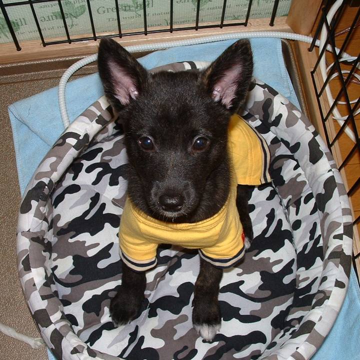 3d983134 6580 4b4c bc29 6d58485824eb