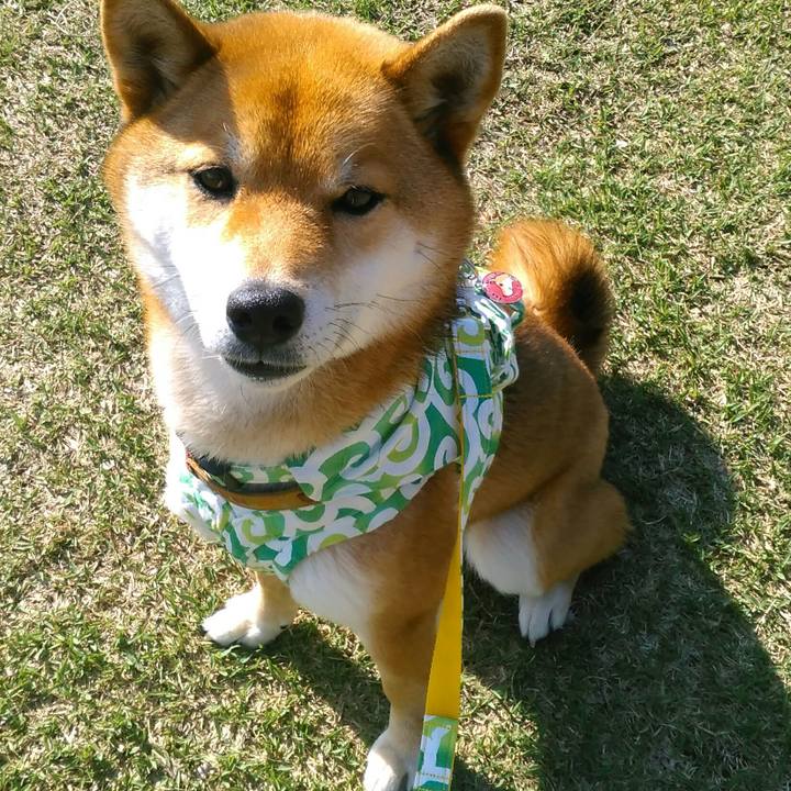 3d98d6e8 6d5a 4f9c 9692 0d88f8a950e7