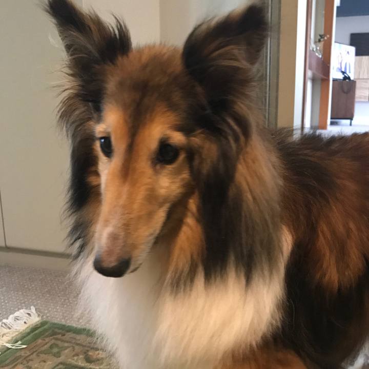 3d990c61 faff 4ba4 a58a e07f3584cc16