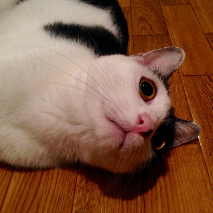 3d997270 7850 488d 82fb 4412cb8ce379