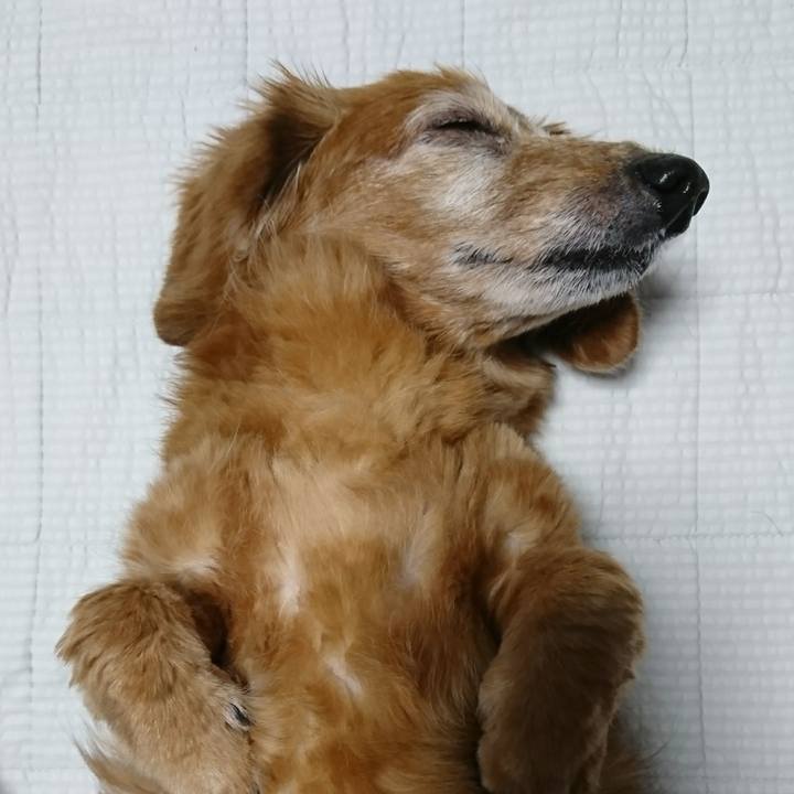 3d99838b bcaa 4828 9799 20ad3997bdf7