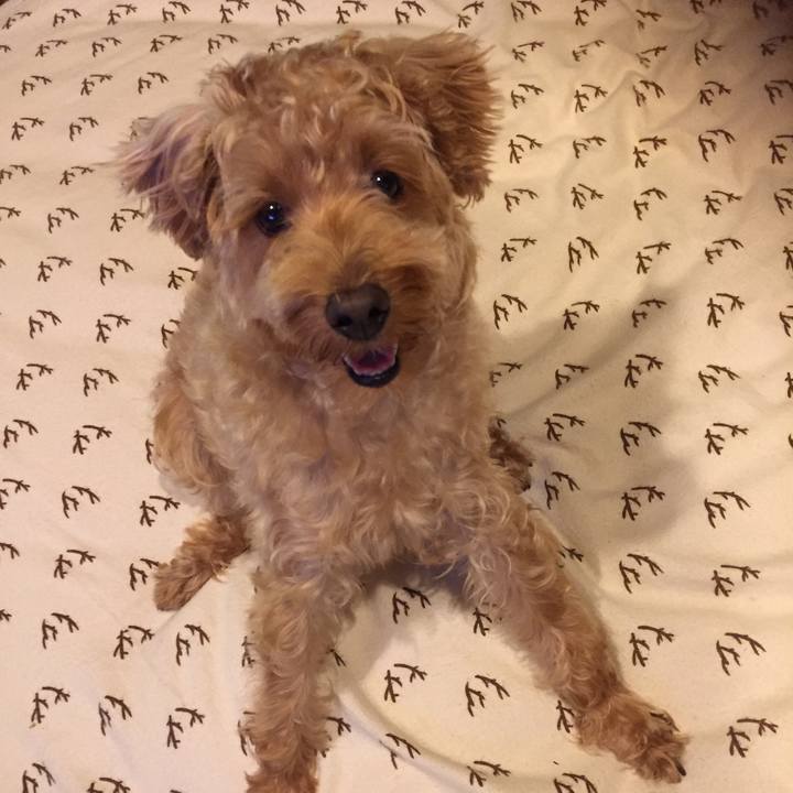 3d9991f4 0fe9 4577 b063 32dd7370b563