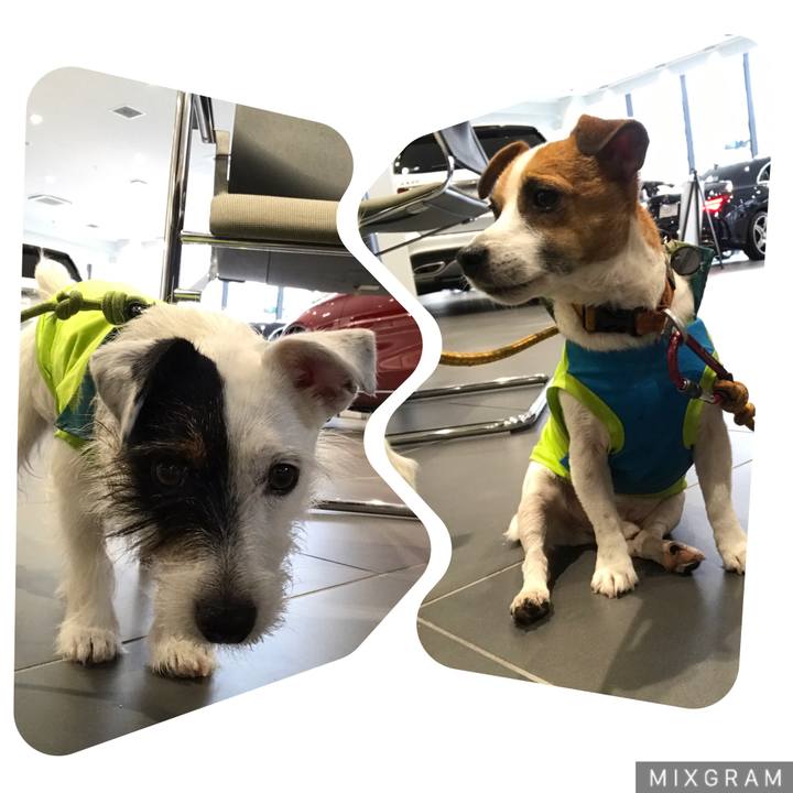 3d999a54 621e 4171 8cf2 7b6e4be11d87