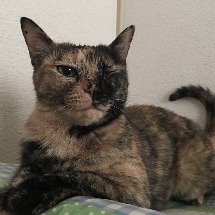 3d99ae6e 89e5 4901 9692 a5a5f9c9eb73