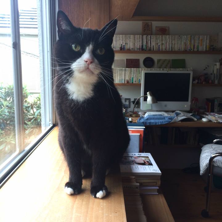 3d9a69b4 b514 4707 9b38 b085e7892fae