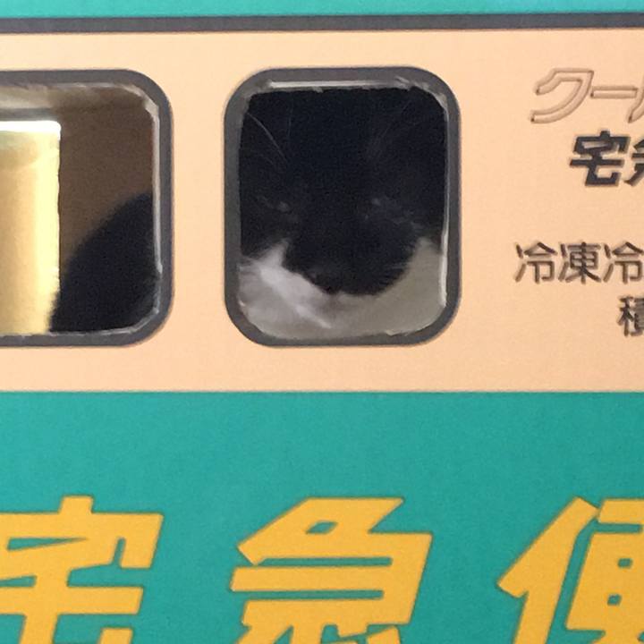 3d9a97e0 2807 4f50 b43b 3a62a56e49ae