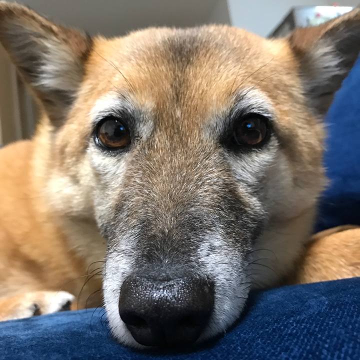 3d9b1724 d772 4b06 b9d9 81a980f88c8a