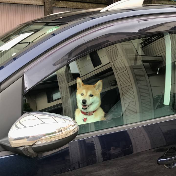 3d9ba817 d893 4b86 a3c2 299532c828c1