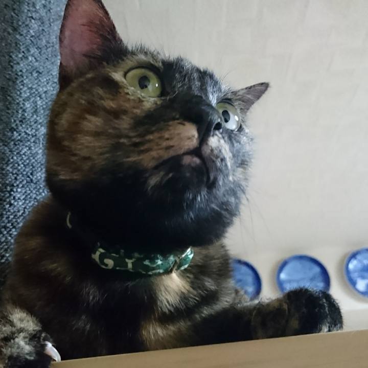 3d9c69dc 353a 4b3b 907e bd810d4eca03