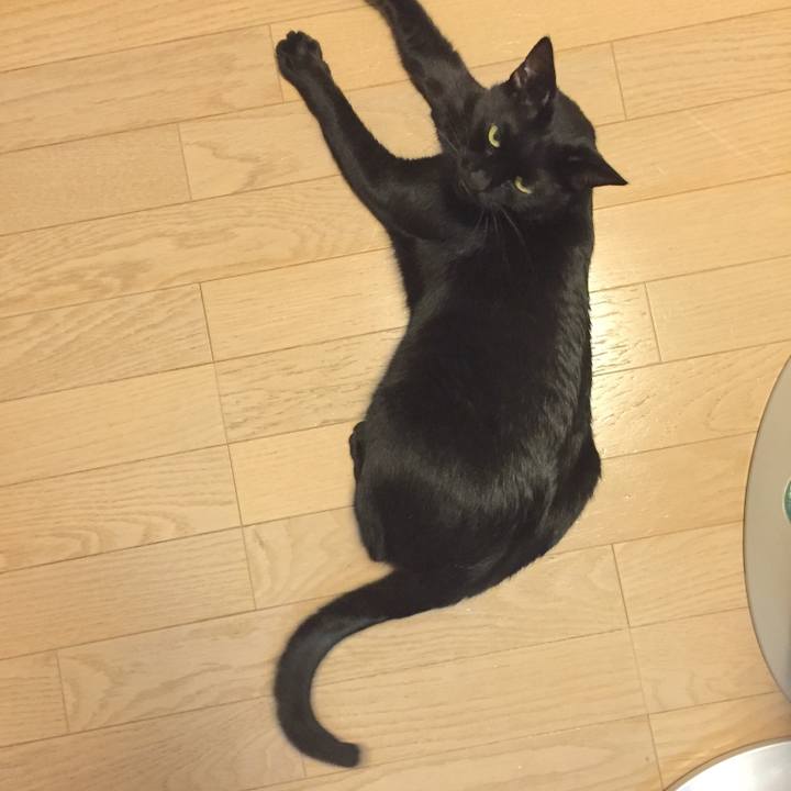 3d9cbbae f54c 47e6 a9fd 4430c249b7bd