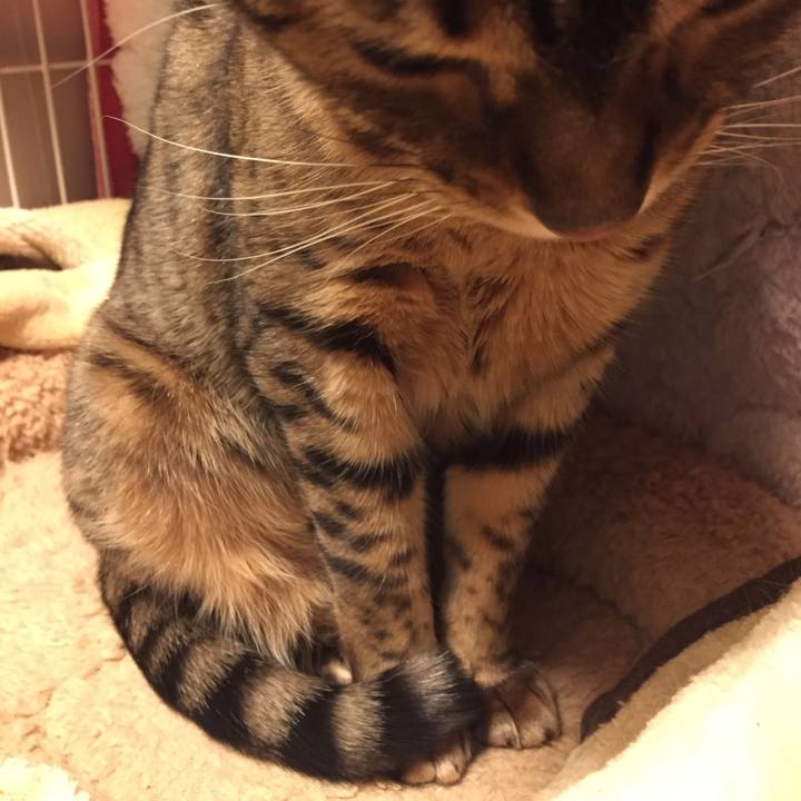 3d9de8ab 027d 422d 827d 80784e4bb486