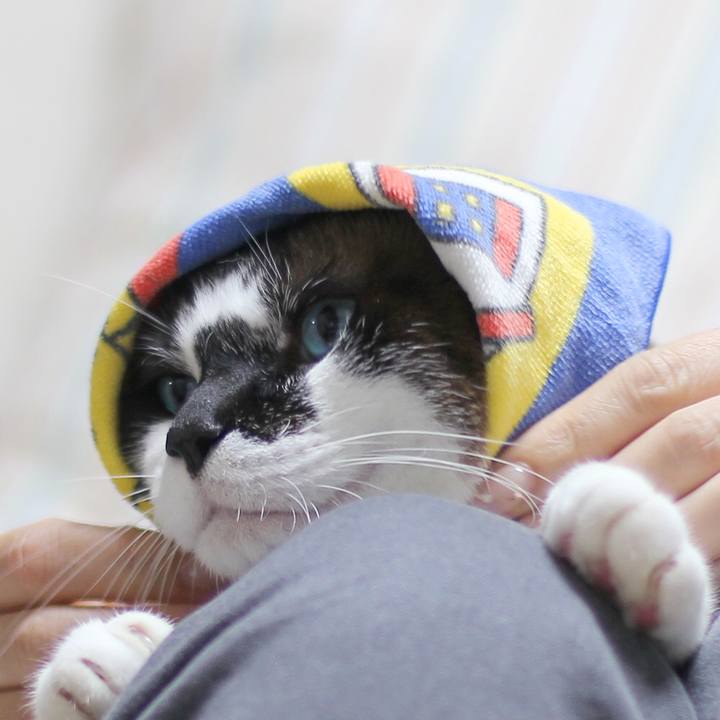 3d9deee8 f2c4 442a b649 e1f01e618561