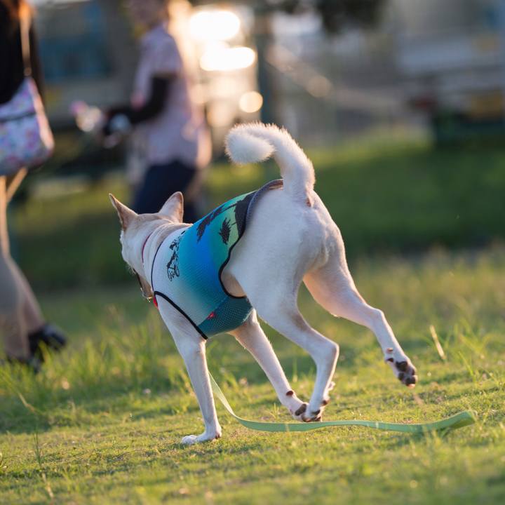 3d9df88a 85d3 47f5 b31c 882eb299ea5f