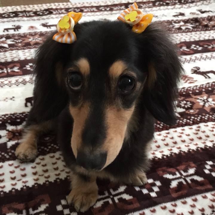 3d9ec428 1b31 45e0 82b0 d26c539bcef3