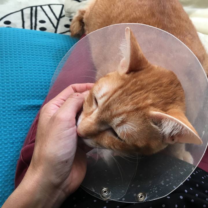 3d9ee1c6 69f9 442b b0a7 d595214cf819