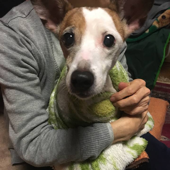 3d9f4d40 6092 4a35 85df b7e3aed20d00