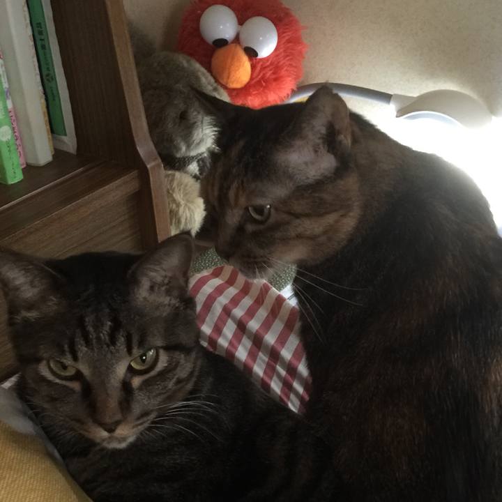 3d9f73a0 50c6 401d a243 4c6b15607052