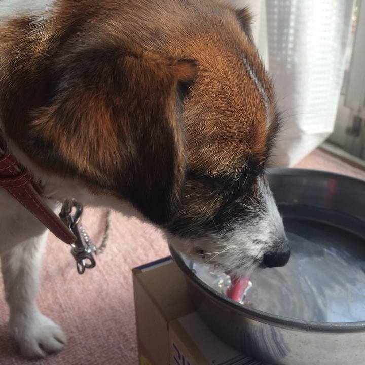 3d9fb7dc d964 4d8b aac4 ca807626361c