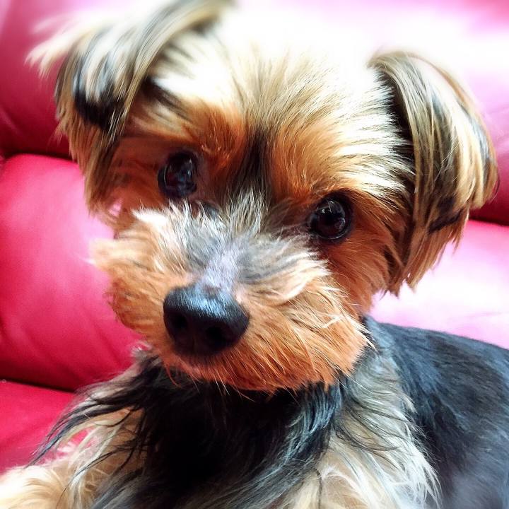 3d9fd67d c608 4e78 b8dc 3c8df1b90a8e