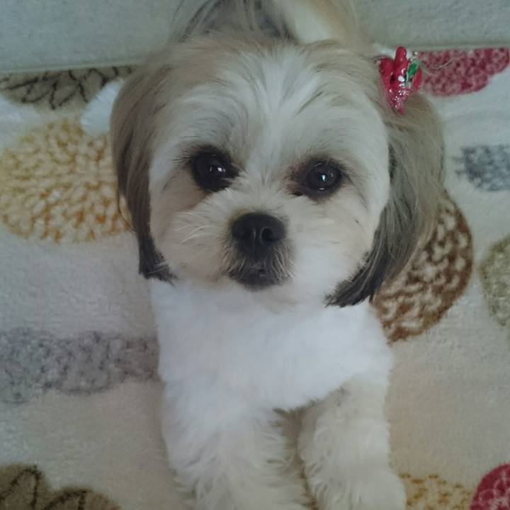 3d9fe076 7bac 404d 88d2 70fcf1f237b1