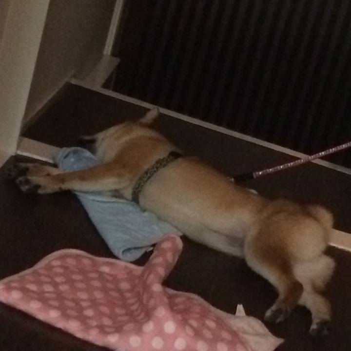 3d9ff0e1 b69b 4e81 b7be eb6272fda153