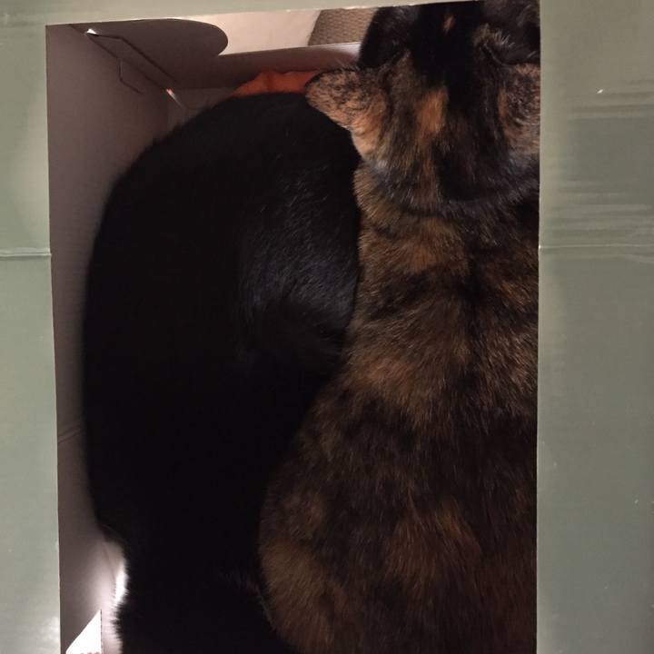 3da0b4d6 9df1 40d8 83ec da4a5a2c6852