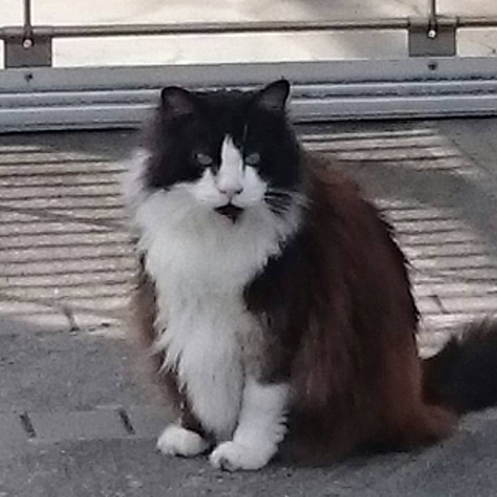 3da0b62c 09b6 4c1a ba1c 11c3f08f18dc