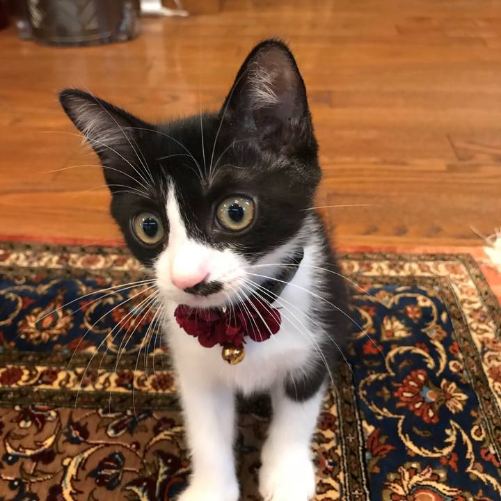 3da0e6de 5f8c 4696 be97 57e2baa2639d