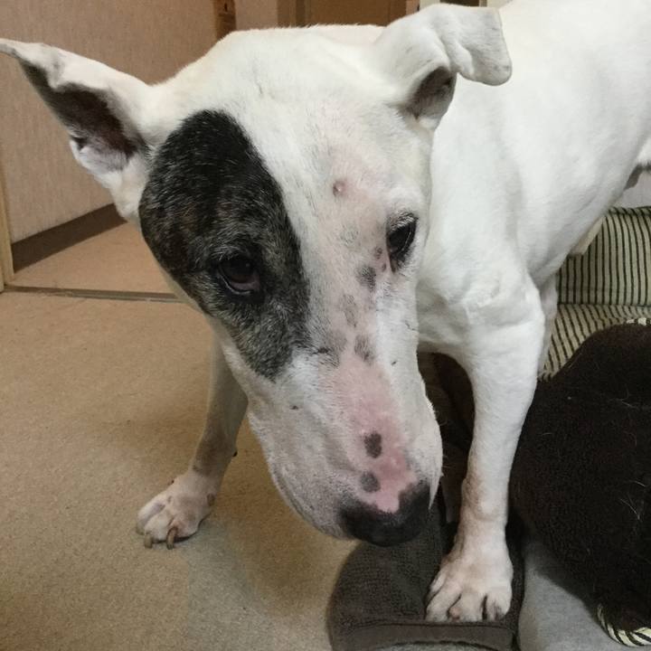 3da10dbb f474 4b7d 9108 a927b7ef1c2b