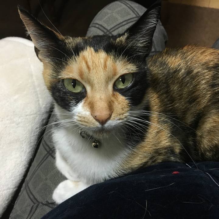 3da14f99 f202 4b82 b8bf 89921605d8c9