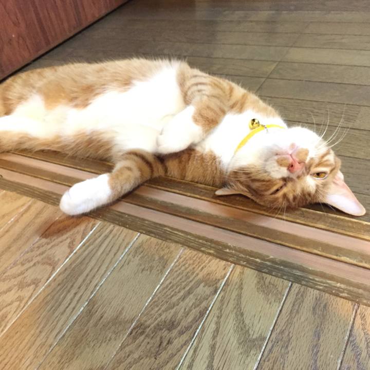 3da169b4 c0d8 45b6 8c42 96f57ba7ef8d