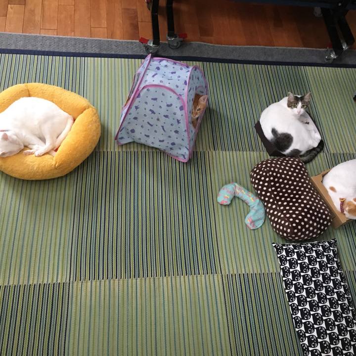 3da1f2e3 5c5c 4788 bd89 2350edb12800