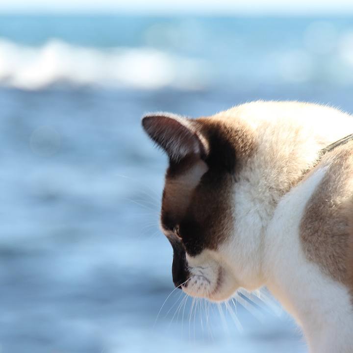 3da2788b 7c19 466c abed 619671de1cb8