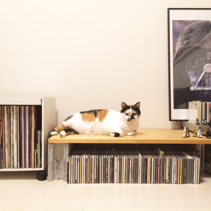 3da2da65 4670 46d6 9ab4 8a366cf82b9c