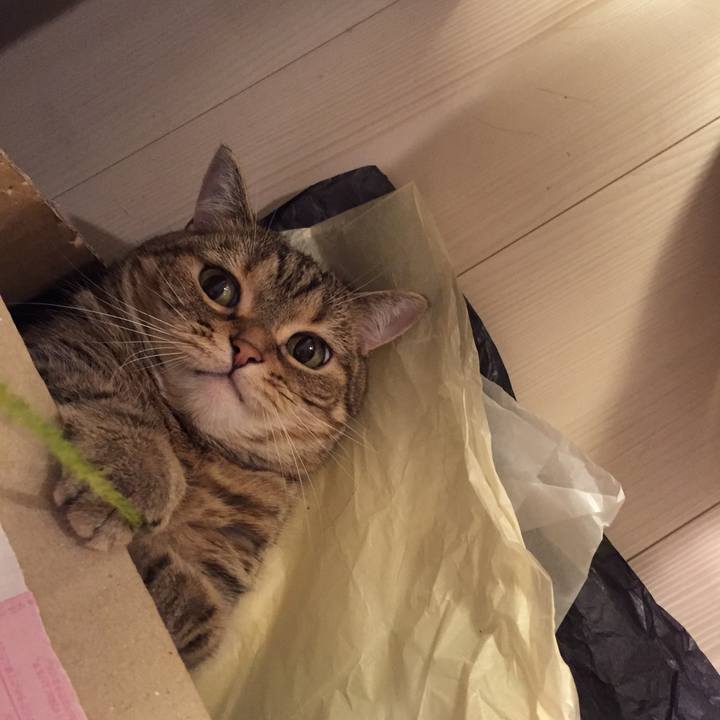 3da2e2ab 13db 4992 8624 7ac3109743fe