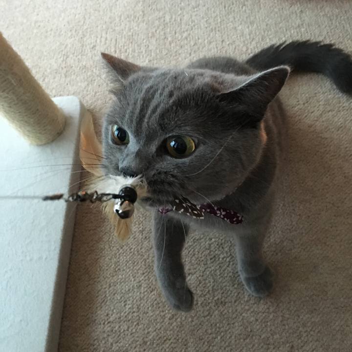 3da31e4a 4659 48f4 941c 658ee85bb147