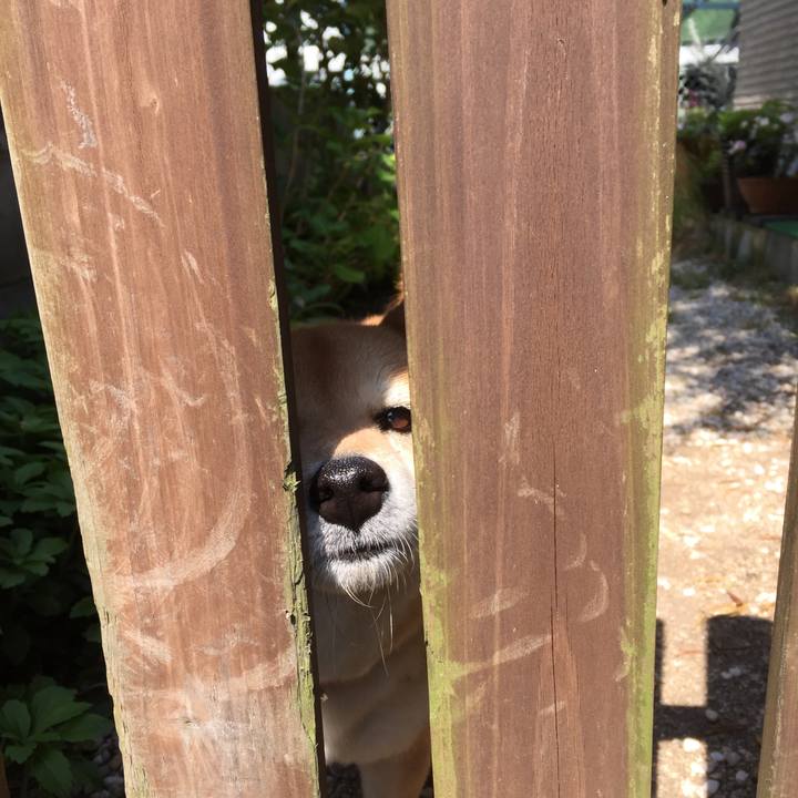 3da3431a 50db 4208 9794 85624494111b