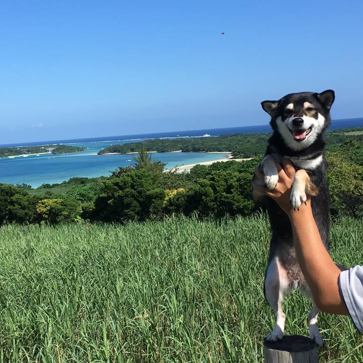 3da3bdc8 2285 45f0 944c 5b1eb3a20647