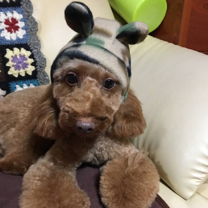 3da3c09a a364 4bcb 9b4e 9084df1c9bfd