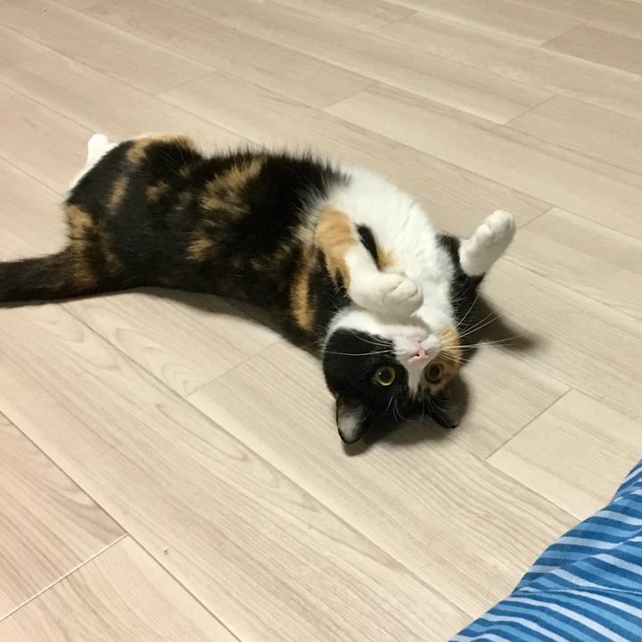 3da3e010 3e75 453a 8c3a 6beca82e24b3