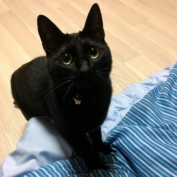 3da46b1e 3905 4c14 9cad b9d5f2eee5f7