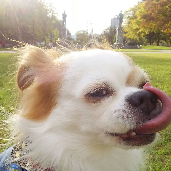 3da482c5 a525 4b16 8e3e 79e8d7a464c7