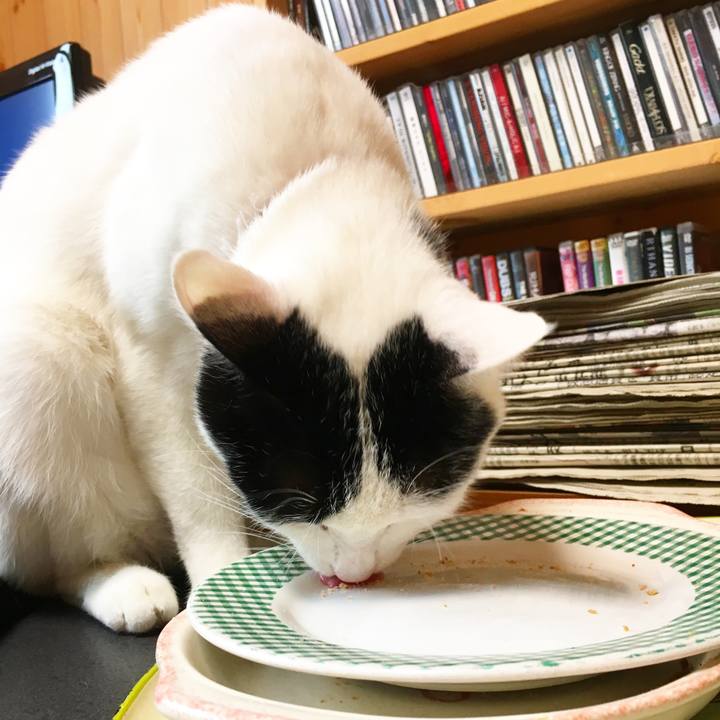 3da48347 5d33 45aa 8381 26919bdba171