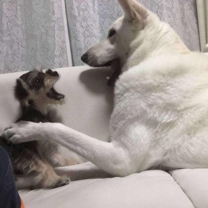 3da4a7c5 b5ea 44e8 a4f5 64e232376318