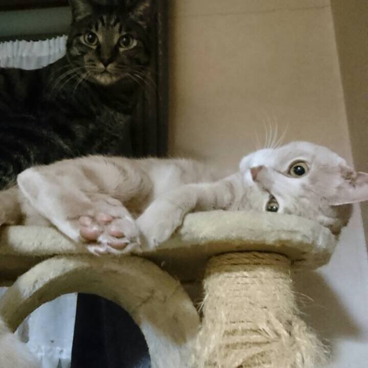 3da4fbf9 85ef 43b1 8c5e 9f0d28fc68af